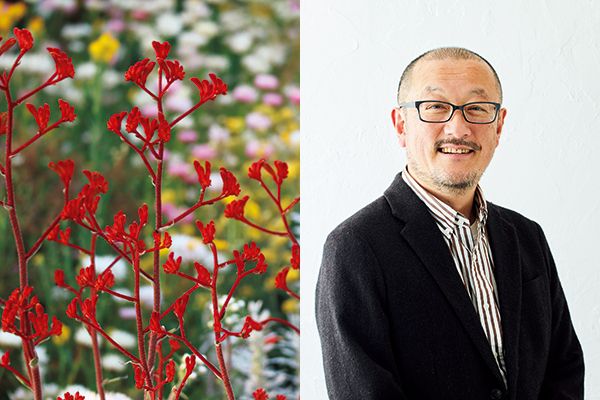 「京も一日 陽だまり屋」3月はオーストラリアの植物／3月8日(金)「あさイチ」に富田裕明さんが登場