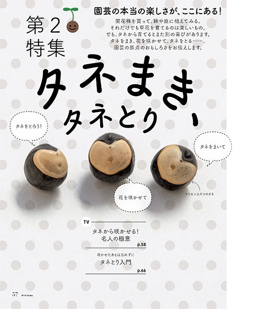 園芸の本当の楽しさが、ここにある！タネまき、タネとり～好評発売中『趣味の園芸』4月号の第2特集