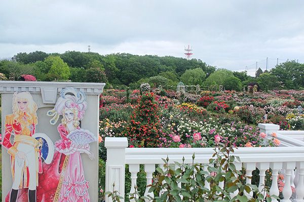 京成バラ園「ローズフェスティバル2019～おいしい恋しいバラ園～」5月10日～6月16日開催！