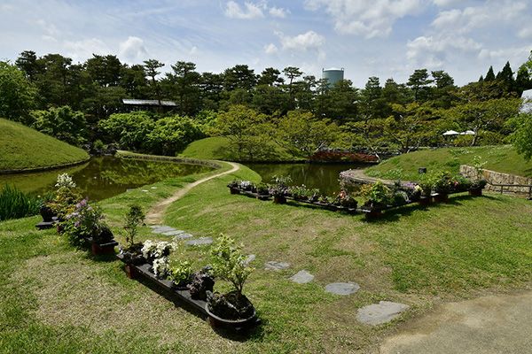 京都ゆかりの植物とコケを楽しむ「春の和の花展」が開催！4月20日～5月6日