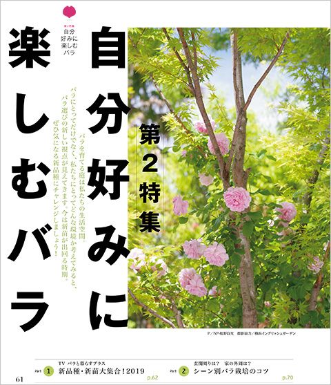 自分好みに楽しむバラ～好評発売中『趣味の園芸』5月号の第2特集