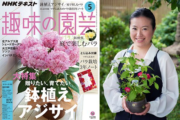 盆栽の世界におけるヤマアジサイと四国で見つかった品種を、山田香織さんが紹介！＜前編＞趣味の園芸5月号こぼれ話