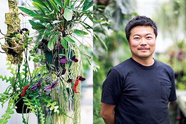 「京も一日 陽だまり屋」6月は熱帯植物で "根っこ"園芸 のすすめ／6月7日(金)「あさイチ」に杉山拓巳さんが登場