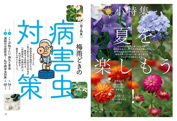 梅雨時の病害虫対策＆夏を楽しもう～好評発売中『趣味の園芸』6月号の第2特集・小特集