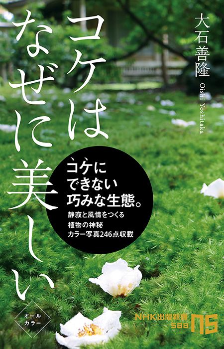 コケにできない巧みな生態。気鋭の研究者が綴る、コケ入門の決定版！『コケはなぜに美しい』