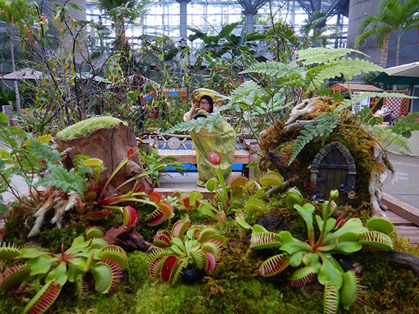 ふしぎ、かわいい、ちょっとこわい!? 咲くやこの花館で「虫を食べる植物展2019」開催中！