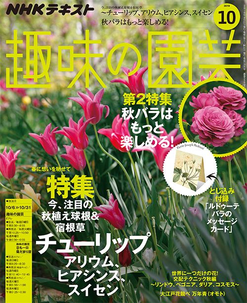 『趣味の園芸』10月号の内容紹介～今、注目の秋植え球根＆宿根草/秋バラ/交配テクニック秋編/とじ込み付録・バラのメッセージカード ほか