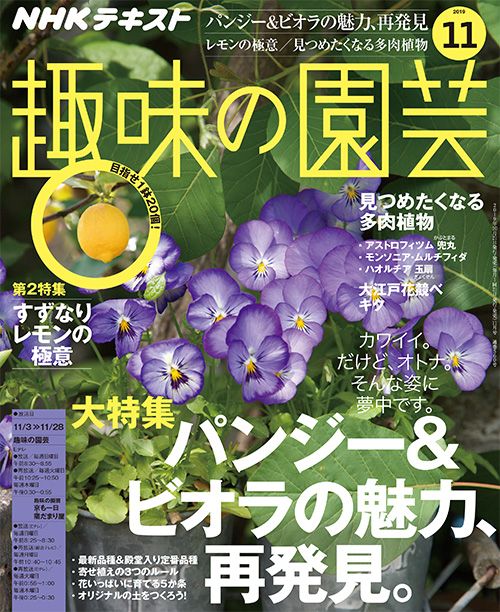 『趣味の園芸』11月号の内容紹介～パンジー＆ビオラの魅力、再発見/レモン/キク ほか