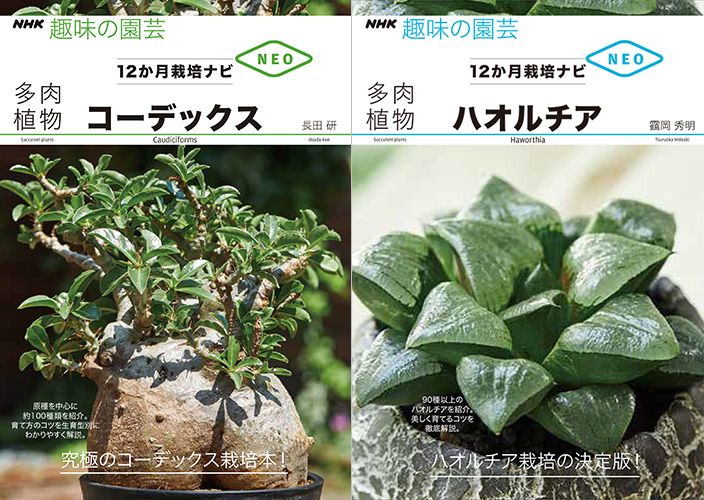 12か月栽培ナビ NEO『コーデックス』『ハオルチア』2冊同時発売！多肉植物の育て方を解説する新シリーズ