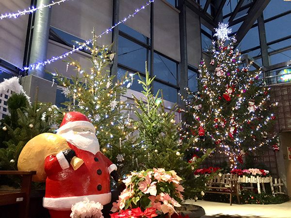 新潟県立植物園で「クリスマス展」開催！12月21日・22日は夜間開園＆音楽ライブも