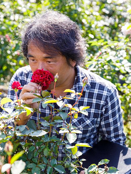 『趣味の園芸』特別アンケート～木村卓功さんが答えます！バラ栽培の質問・お悩み大募集《5名様に書籍プレゼント！》