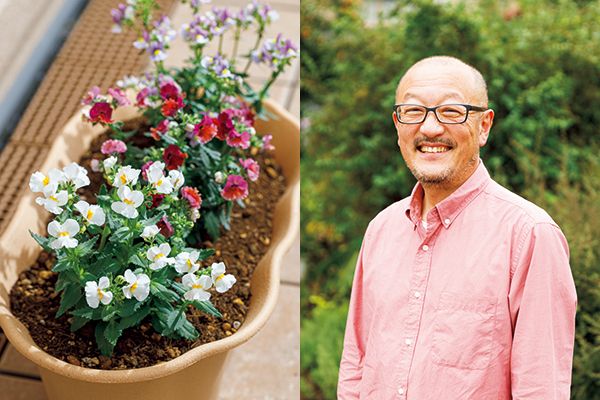 「京も一日 陽だまり屋」1月は南アフリカの植物／1月10日(金)「あさイチ」に富田裕明さんが登場