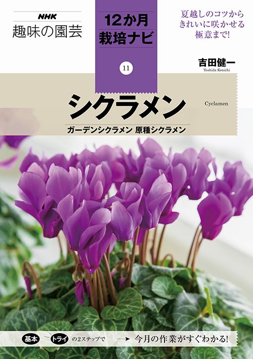 年間の作業と管理をナビゲートする「12か月栽培ナビ」シリーズ新刊『シクラメン』発売！