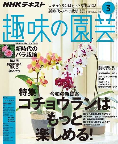 『趣味の園芸』3月号の内容紹介～コチョウランはもっと楽しめる！/新時代のバラ栽培 第3回/オステオスペルマム/エディブルフラワー ほか