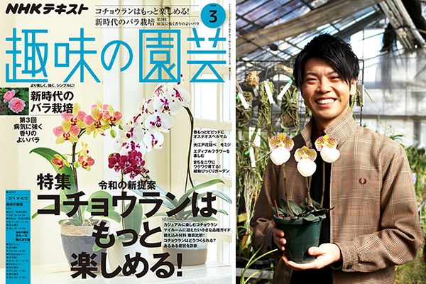 ランにハマって20年。清水柾孝さんが語るその魅力とは？＜後編・会心の出来！3輪立ちのパフィオペディラム＞趣味の園芸3月号こぼれ話