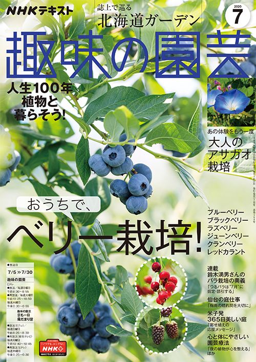 『趣味の園芸』2020年7月号の紹介～おうちで楽しむ！ベリー栽培/誌上で巡る北海道ガーデン/大人のアサガオ栽培 ほか