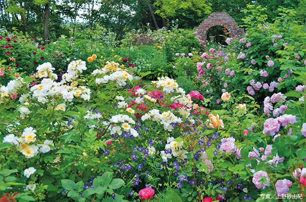 誌上で巡る 北海道ガーデン～好評発売中『趣味の園芸』7月号の特集