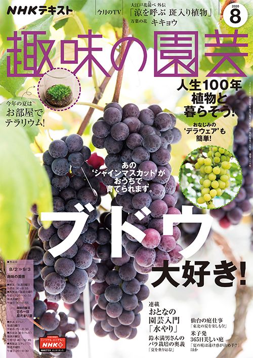 『趣味の園芸』2020年8月号の紹介～ブドウ大好き！デラウェアからシャインマスカットまで/今年の夏はお部屋でテラリウム！ ほか