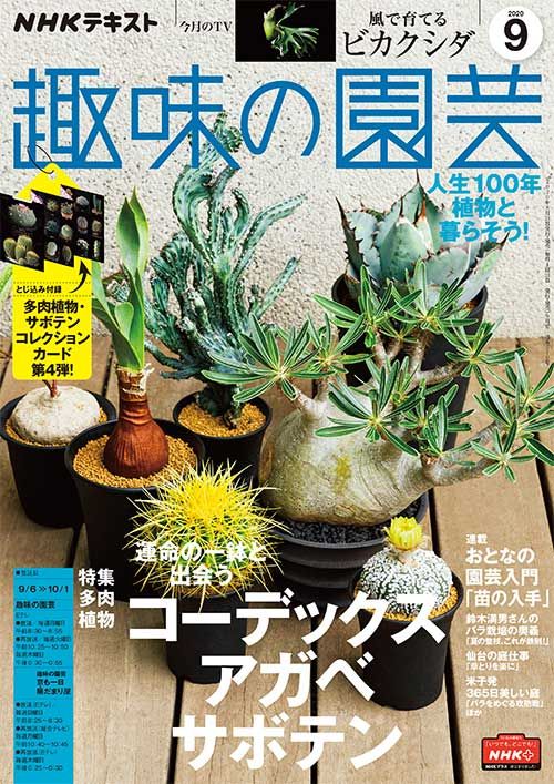 『趣味の園芸』2020年9月号の紹介～運命の一鉢と出会う コーデックス、アガベ、サボテン/ビカクシダ ほか【とじ込み付録・コレクションカード 第4弾！】