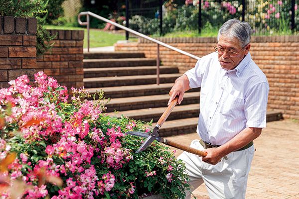 夏の整枝、これが鉄則！～連載「"レジェンド"鈴木満男さんに教わるバラ栽培の奥義」第6回（9月号）