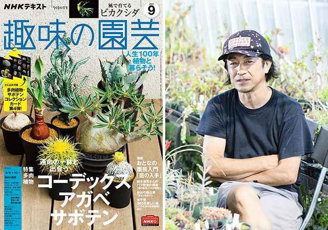 藤川史雄さんに聞くコーデックス＜前編・コーデックスの境界とは？＞『趣味の園芸』9月号こぼれ話