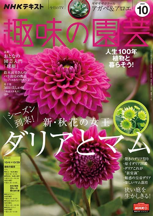 『趣味の園芸』2020年10月号の紹介～新・秋花の女王 ダリアとマム