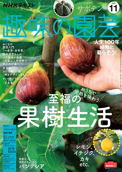 『趣味の園芸』2020年11月号の紹介～鉢でも庭でも初心者でも 至福の「果樹」生活