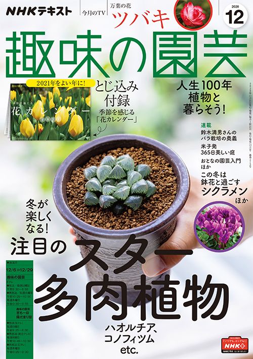 『趣味の園芸』2020年12月号の紹介～注目のスター多肉植物／この冬は鉢花と過ごす シクラメンほか【とじ込み付録・花カレンダー】