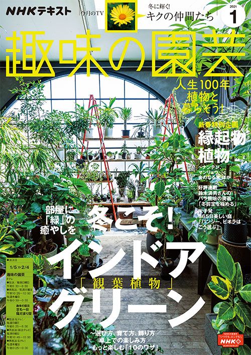 『趣味の園芸』2021年1月号の紹介～部屋に「緑」の癒しを。冬こそ！インドアグリーン／縁起物植物