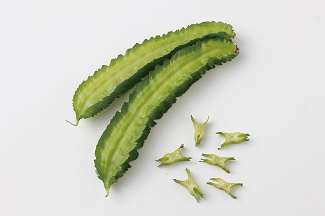 タネから育てる珍しい野菜