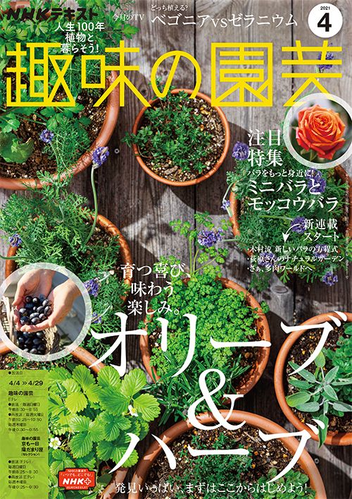 『趣味の園芸』2021年4月号の紹介～育つ喜び、味わう楽しみ。「オリーブ＆ハーブ」／ミニバラとモッコウバラ