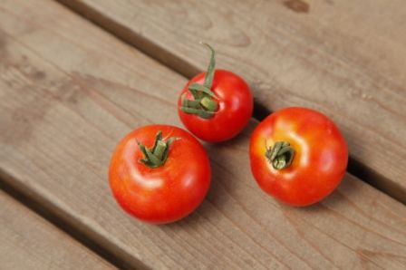 うれしいこと、嫌いなことを知ろう トマト三姉妹のトリセツ