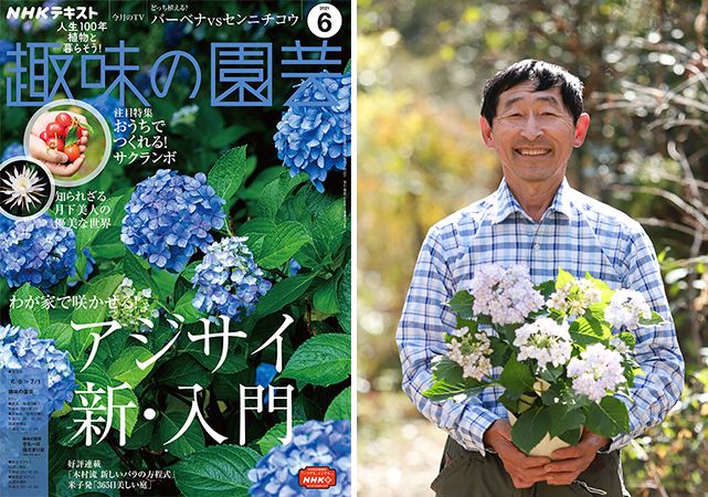 アジサイに精通、川原田邦彦さんに聞く。＜前編・おすすめのヤマアジサイ＞『趣味の園芸』6月号こぼれ話