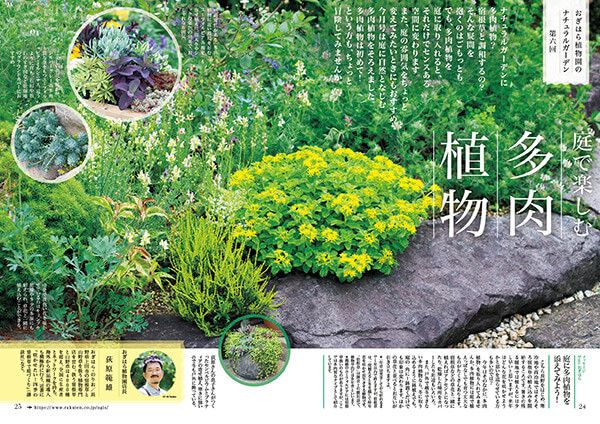 庭で楽しむ多肉植物～連載「おぎはら植物園のナチュラルガーデン」第6回（2021年9月号）