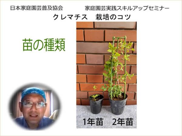 家庭園芸実践スキルアップセミナー 金子明人さんによる クレマチス栽培のコツ の動画公開 みんなの趣味の園芸