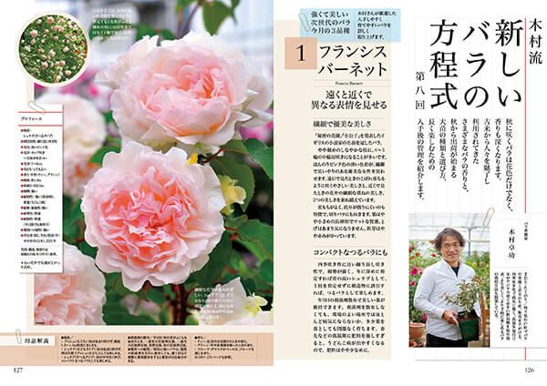 もこもこ様 薔薇ボタン提案-