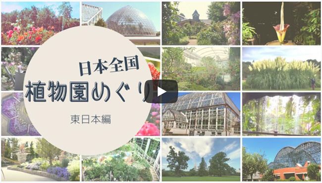 日本全国植物園めぐり 東日本編 西日本編 が公開中 26園の見どころを動画で紹介 みんなの趣味の園芸
