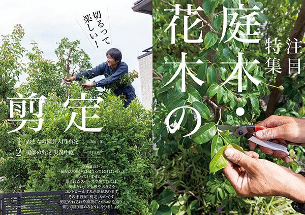 切るって楽しい！庭木・花木の剪定～好評発売中『趣味の園芸』12月号の注目特集