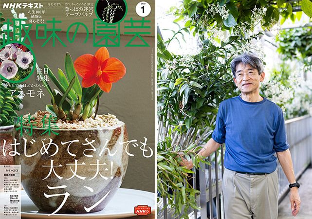 ＜ランの情報はどう整理されているか＞ラン研究のレジェンド・遊川知久さんに聞く【趣味の園芸1月号こぼれ話・前編】