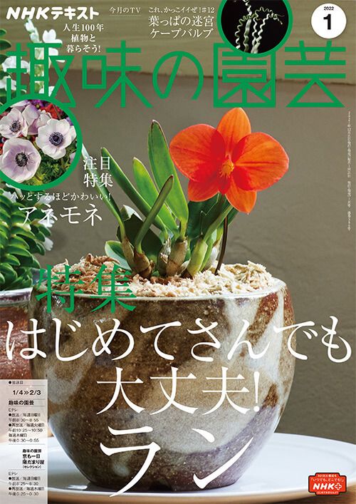 『趣味の園芸』2022年1月号の紹介～はじめてさんでも大丈夫！ラン／ハッとするほどかわいい！アネモネ