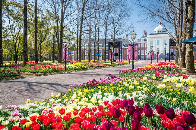 100万本のチューリップが咲き誇る、ハウステンボスの春の街並みを写真で紹介！