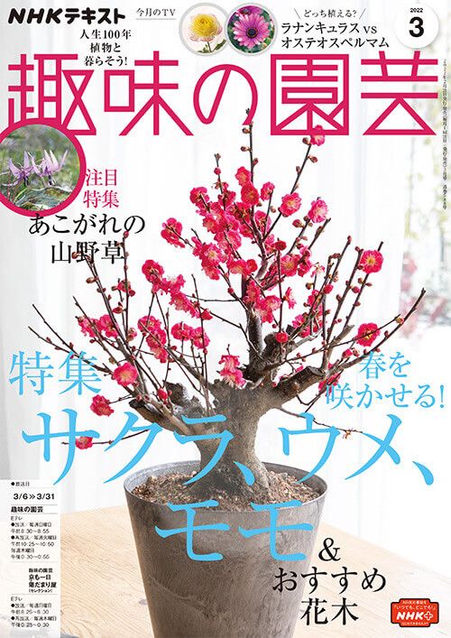 『趣味の園芸』2022年3月号の紹介～春を咲かせる！サクラ、ウメ、モモ＆おすすめ花木／あこがれの山野草