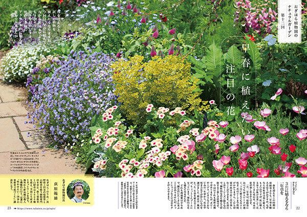 早春に植えたい注目の花～連載「おぎはら植物園のナチュラルガーデン」第12回（2022年3月号）