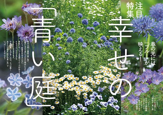 春の光には「ブルー」が映える！幸せの「青い庭」～好評発売中『趣味の園芸』4月号の注目特集