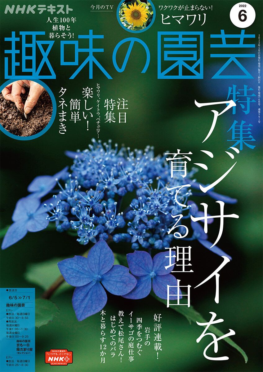 『趣味の園芸』2022年6月号の紹介～アジサイを育てる理由／楽しい！簡単タネまき