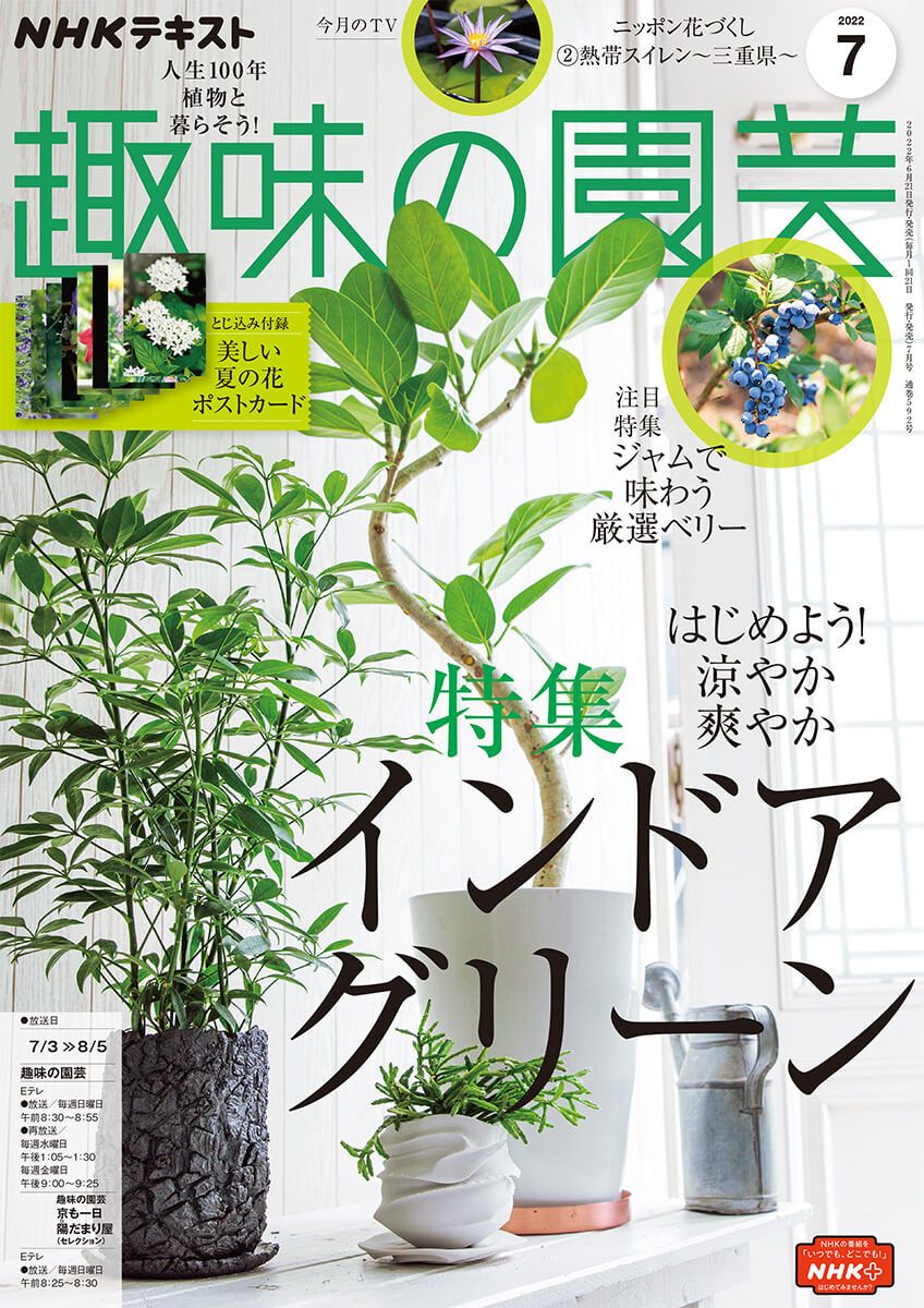 『趣味の園芸』2022年7月号の紹介～はじめよう！涼やか爽やか インドアグリーン／ジャムで味わう厳選ベリー【とじ込み付録・夏の花ポストカード】