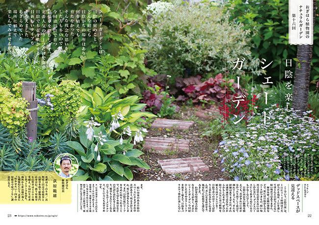 日陰を楽しむシェードガーデン～連載「おぎはら植物園のナチュラルガーデン」第16回（2022年7月号）