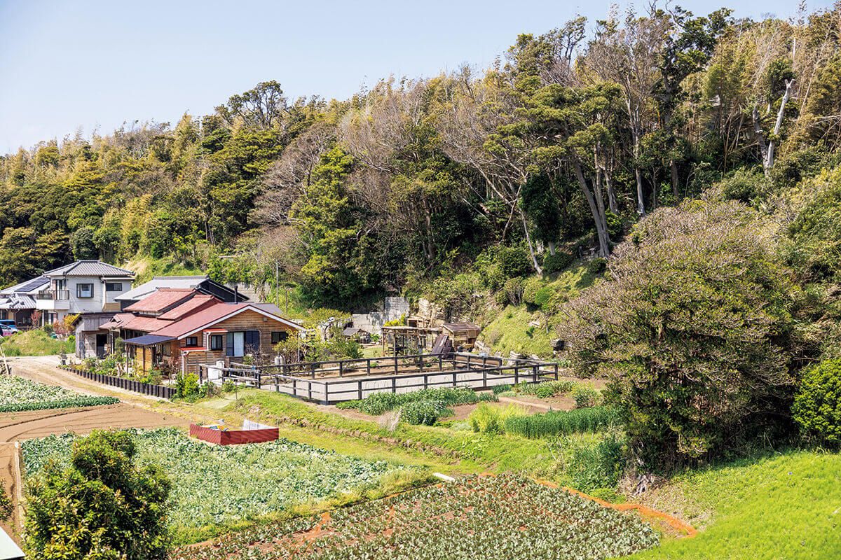 趣味の園芸「いきものパラダイス」オンラインセミナー〈第3回・お手本の"里山ガーデン"を見に行く〉7月24日開催