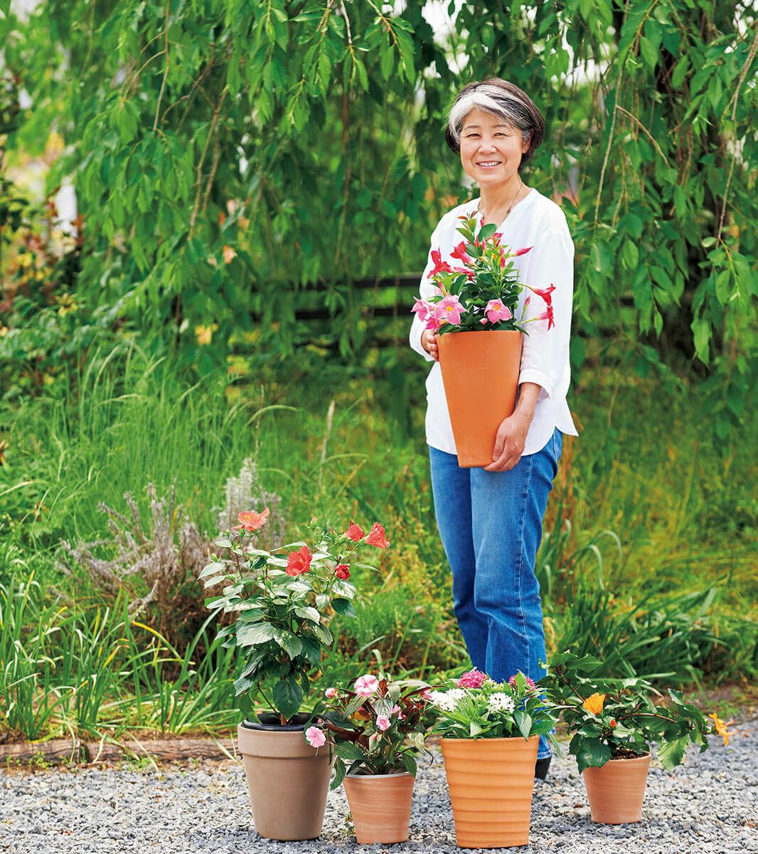 今すぐできる！ 夏の庭をきれいに保つ4つの対策