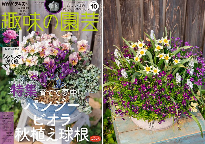 「素敵な寄せ植え、もっと見たいです！」井上先生にリクエストしてみた！趣味の園芸10月号こぼれ話【前編】